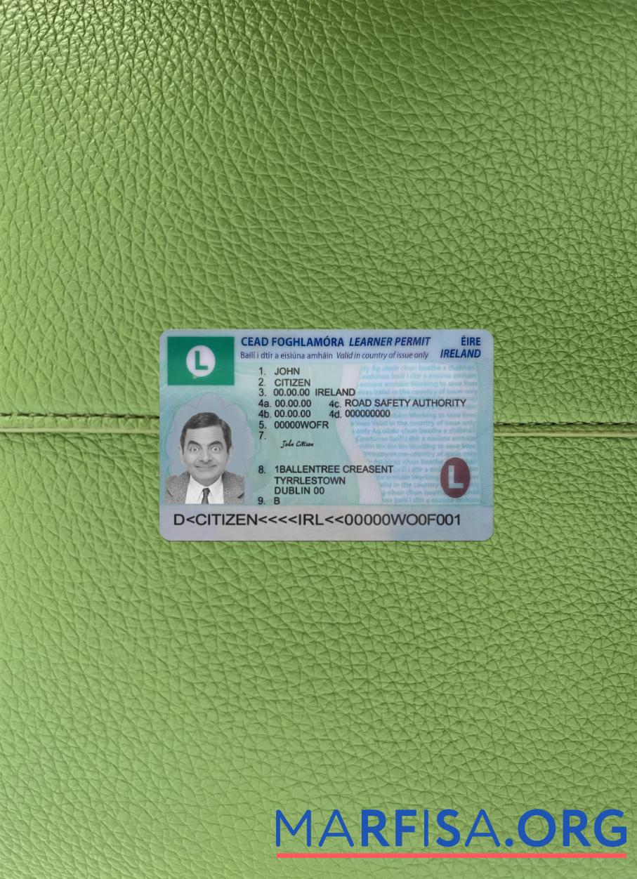 Realistic Ireland driving license (learner permit) 2022 present photolook template